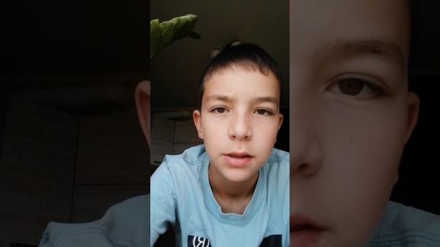 VID_20250713_080729.mp4