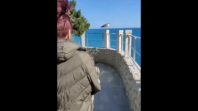 Скрытая рябь спокойного пространства