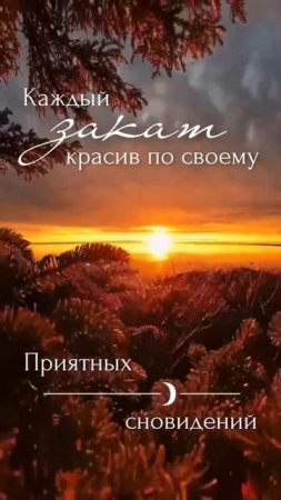 Приятных снов
