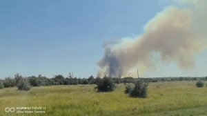 В Волгодонском районе горят поля. 🔥