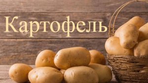 Чем полезен и вреден картофель!