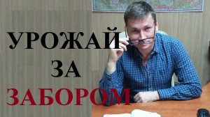 🍒🍏🍐🏕 Можно ли срывать фрукты с деревьев за вашим забором?
