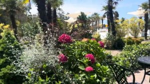 Первый раз в Грузии . Маме очень нравится! Отель Dreamland Oasis 4*