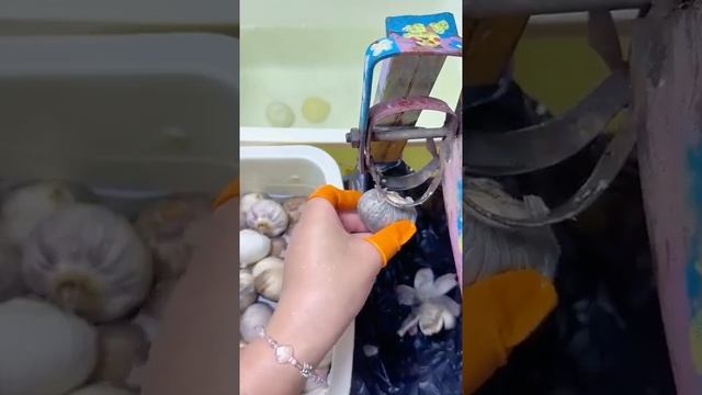 На производстве mem_archive