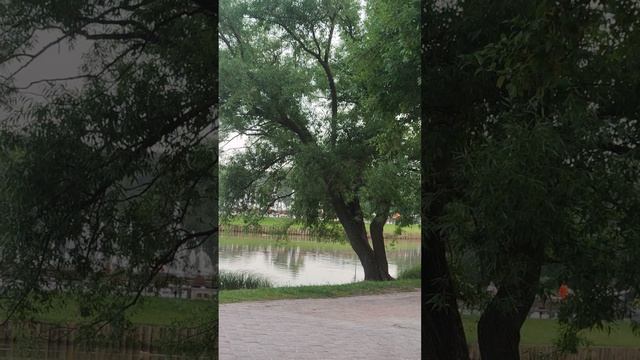 Пётр Ильич Чайковский щелкунчик поющие фонтаны