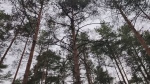 Стоит ли покупать недвижимость или лучше рассмотреть другие варианты инвестирования?