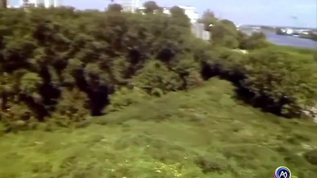 1990 год, май. Тюмень.
