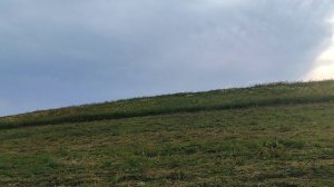 Вывезли деленок карники в степь на кочевку.