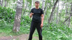 Центральная практика Цигун Позиция дерево столб практический урок