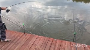 1000095492.mp4