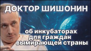 Доктор Шишонин о катастрофе демографии вымирающей страны.  Мигранты или инкубаторы? / #ЗАУГЛОМ