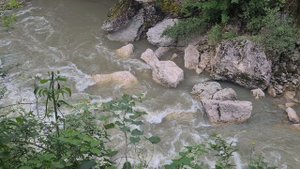 Отпуск в Адыгее (Тропическая лагуна, река Белая, Каменномостский).