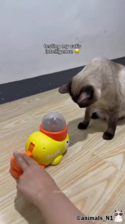 Подпишись 👉 https://vk.com/ykrasheniy_iz_kamny
