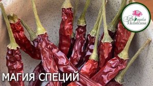 МАГИЯ СПЕЦИЙ