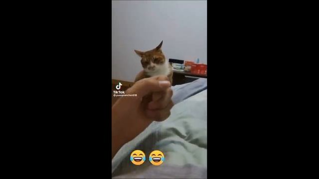 Чудики_из_ТИК_ТОК_🤣😎👍_,_лучшие_приколы_и_видео__#58