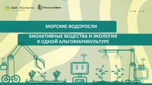 Морские водоросли: биоактивные вещества и экология в одной альгомарикультуре