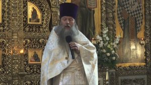 "Господи, войди в дом души моей и исцели моё расслабление". Проповедь о.Артемия Владимирова. 130725.