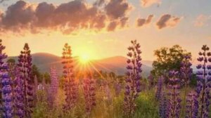 Истории из жизни: ✅ Испытание принципов ... Аудио рассказы Жизненные истории