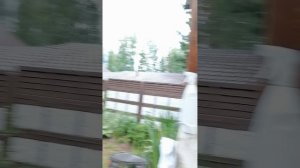 VID_20250713_180646.mp4