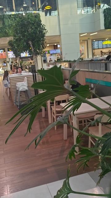 Сюрприз для мамы! смотреть онлайн