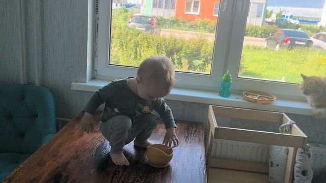 на столе.mp4