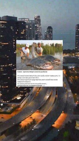 i_78_Сомик - причина смерти многих рыбаков_K