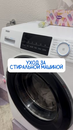 Паста
Арт на WB #234577722