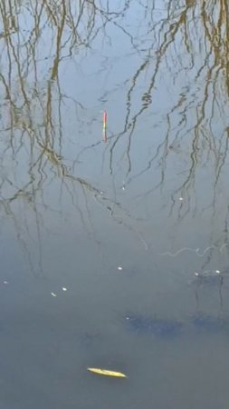 День рыбака состоялся