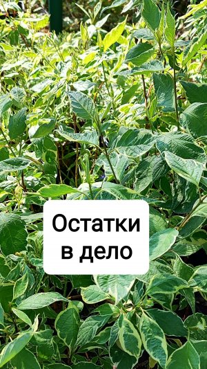 Остатки в дело
