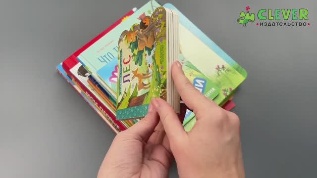 Комплект 12. Книжка с окошками. Лес смотреть онлайн