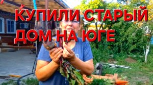 610 Простая жизнь на юге.Кубань зона рискованного земляделия. Мы стараемся.