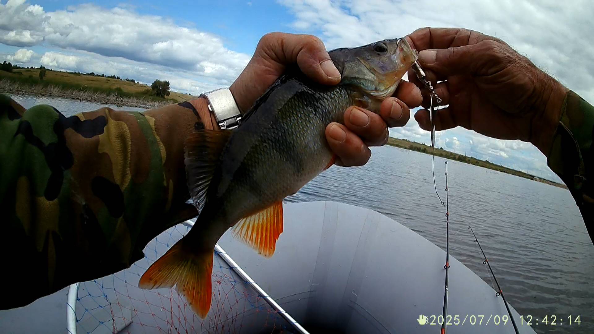 2025-07-09 Окуни из коряжника