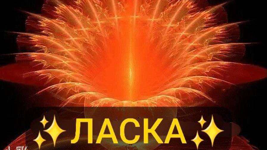 16. Поджелудочная, подготовка к ФМ и ЛАЙФХАК✨️✨️