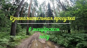 Ознакомительная прогулка в Мещерском лесу.