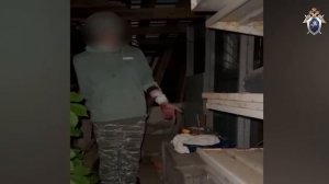 Психопат забил двух девочек молотком в Подмосковье !!!