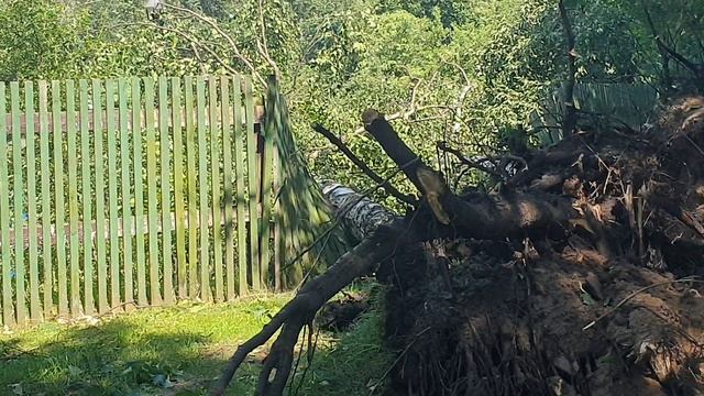 Последствия стихии 4 смотреть онлайн