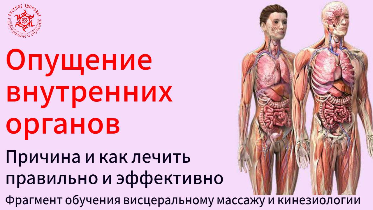 Опущение внутренних органов у человека. Причина и как лечить правильно и эффективно.