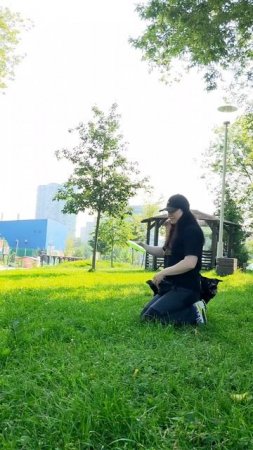 Метис Ричард - учится ловить подброшенный диск