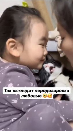 Так выглядит передозировка любовью