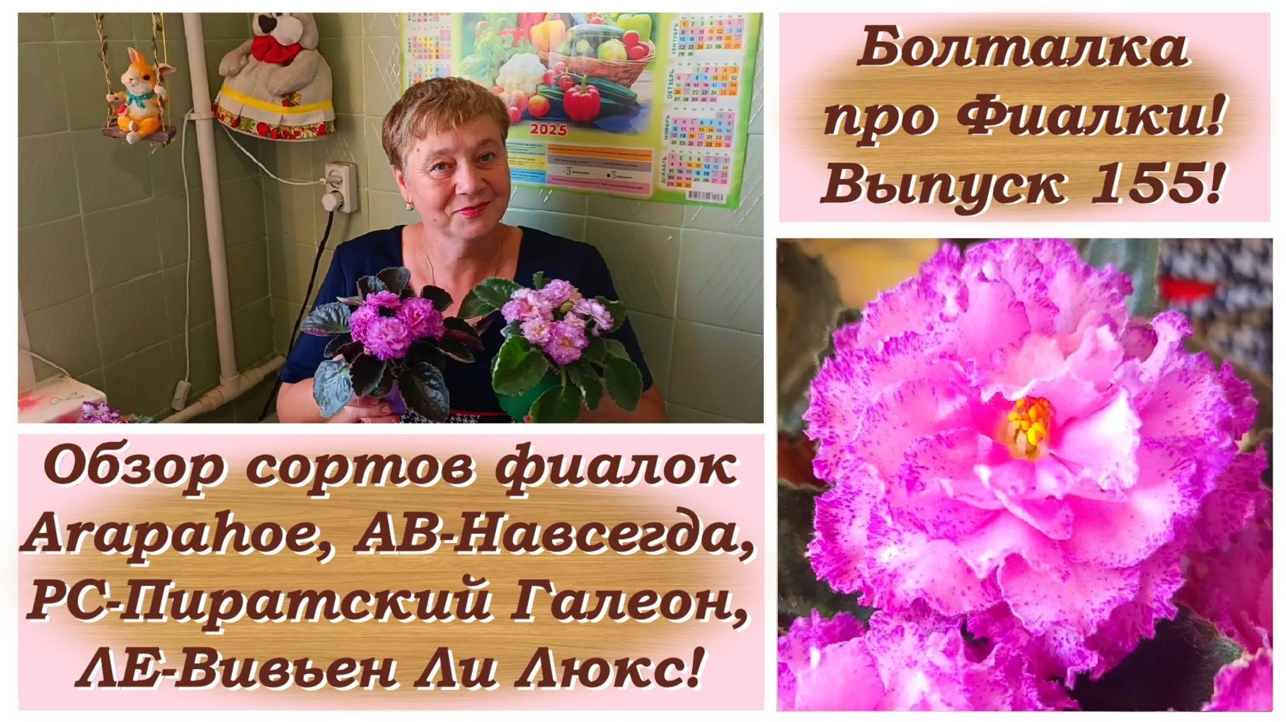 Болталка про Фиалки! Выпуск 155! Обзор сортов фиалок Arapahoe, АВ-Навсегда, РС-Пиратский Галеон, ЛЕ-
