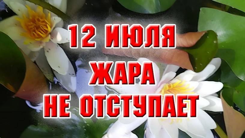 12 июля. Жара не отступает