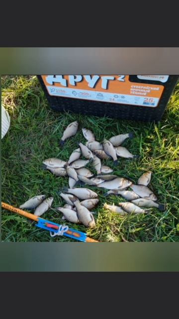 Сегодня вечерком после домашних дел, собрался на рыбалку на Старицу.