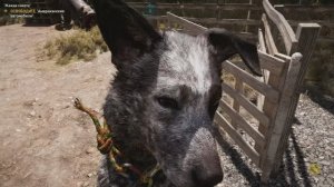 СПАСЕНИЕ БУМЕРА В ИГРЕ FAR CRY 5 - СОБАКА ЛУЧШИЙ ДРУГ ЧЕЛОВЕКА