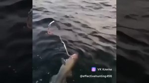 Автокатушка