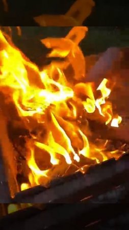 вчера делали на мангале шашлык, сосиски, кабачки, и тосты🤤🤤🤤