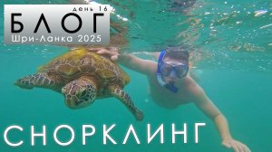 #16 ЛУЧШИЙ снорклинг за всю поездку!