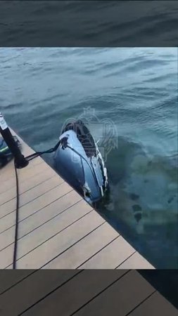 Водный мотоцикл врезался в пирс рядом с Чернавским мостом. Разлилось топливо. 😱
