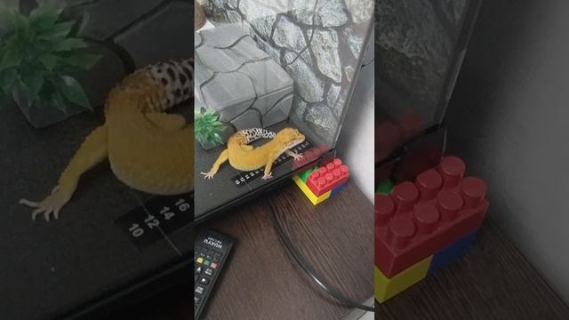 1000026673.mp4