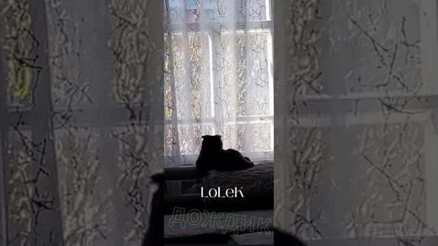 LoLeK — дождик