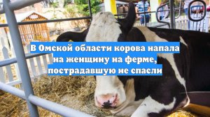 В Омской области корова напала на женщину на ферме, пострадавшую не спасли